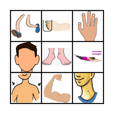 Body and  exercise   =) Bingo Card