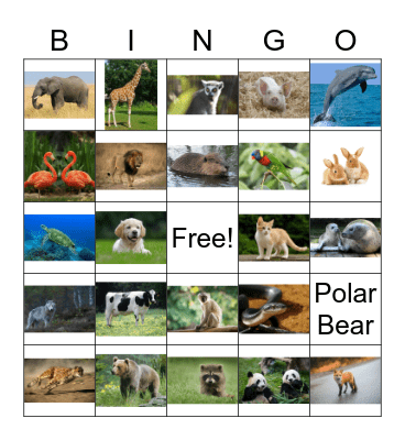 Animal Bingo Card