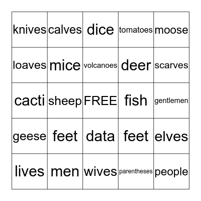 IRREGULAR PLURAL NOUNS Bingo Card