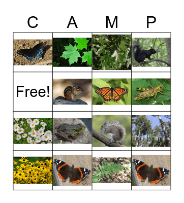 Nature Bingo Card