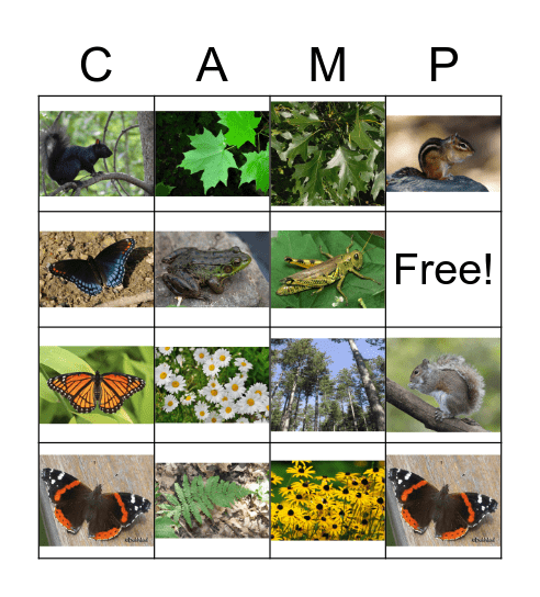 Nature Bingo Card