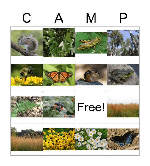 Nature Bingo Card