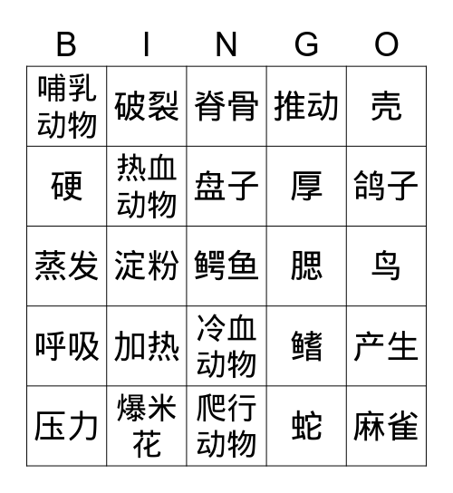 中文BINGO Card