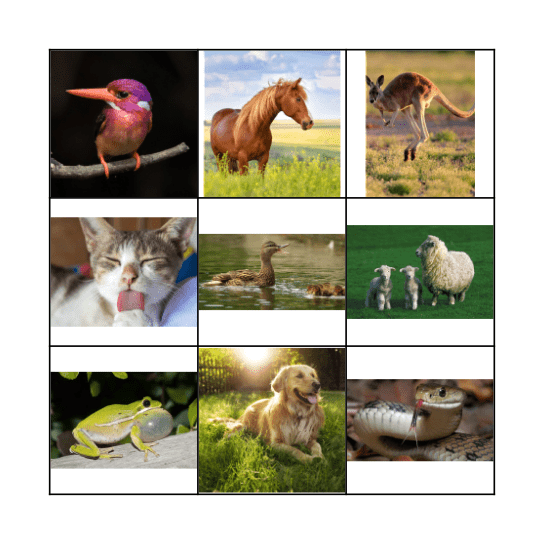 ASL Animals Bingo Card