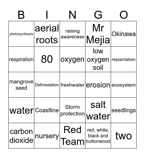 Mangroves  Bingo Card