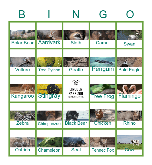 Lincoln Park Zoo Bingo Card