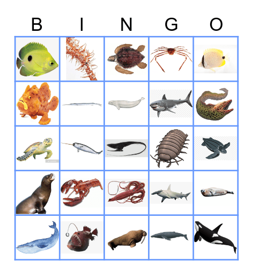 Ocean 1 Bingo Card