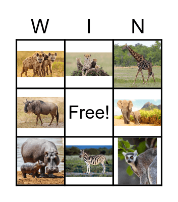 African Animals Bingo Card