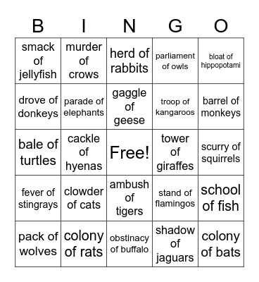 A Convocation of What??? Bingo Card