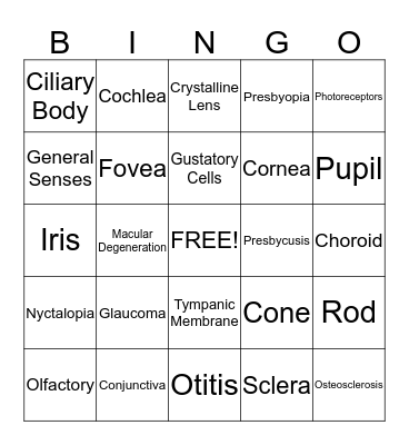 Special Senses BINGO Card