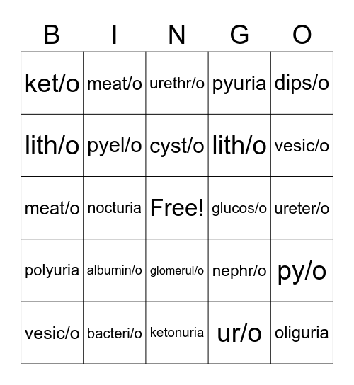Chapter 12: Urinary System Bingo Card