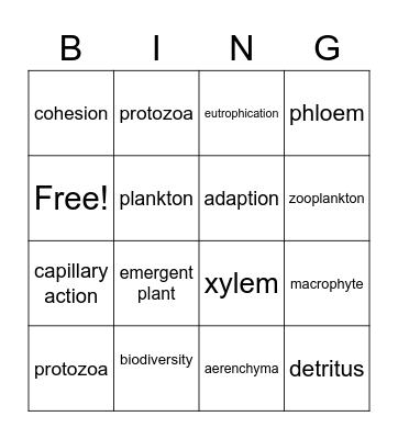 Algae, Plankton & Aquatic Plants Bingo Card