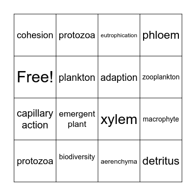 Algae, Plankton & Aquatic Plants Bingo Card