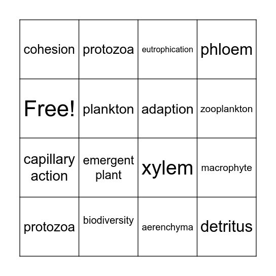 Algae, Plankton & Aquatic Plants Bingo Card