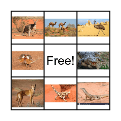 Australian Outback Animal Bingo Card
