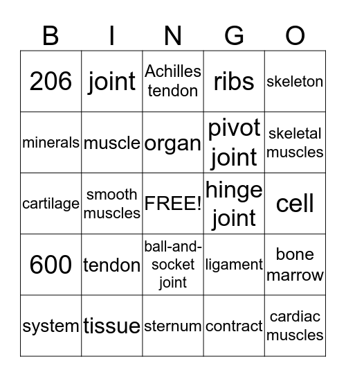 Bones and Muscles Bingo Card