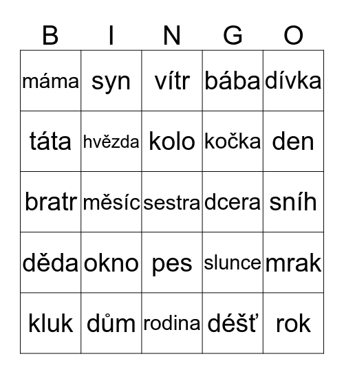 zima Bingo Card