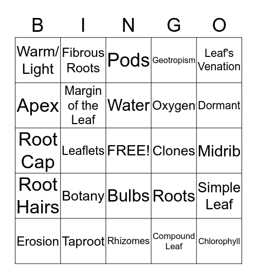 BOTANY Bingo Card