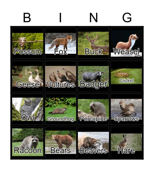 Animals of Wild Robot Bingo Card