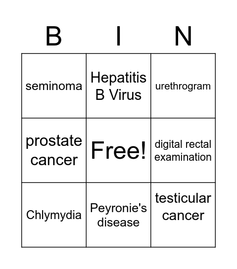 Chapter 13: Male Reproductive System Bingo Card