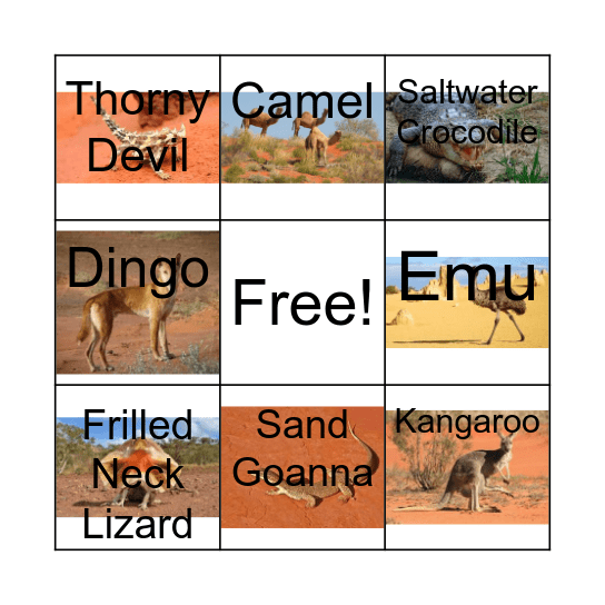 Australian Outback Bingo Card