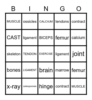 MUSCULAR-SKELETON SYSYEMS Bingo Card