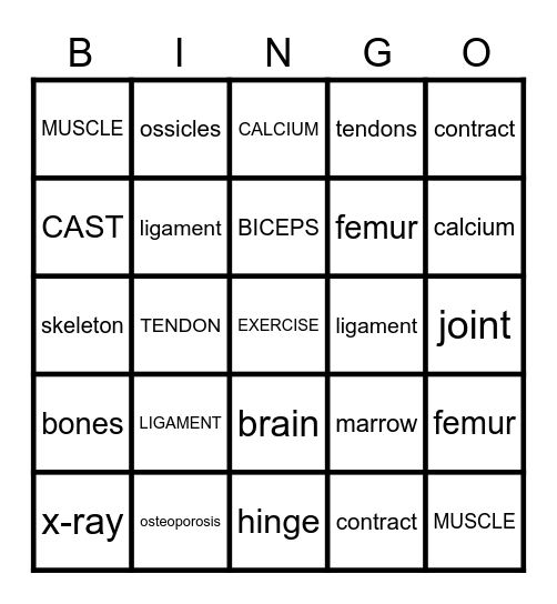 MUSCULAR-SKELETON SYSYEMS Bingo Card