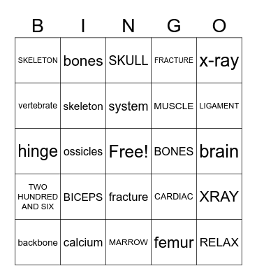 MUSCULAR-SKELETAL SYSTEM Bingo Card