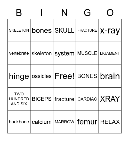 MUSCULAR-SKELETAL SYSTEM Bingo Card