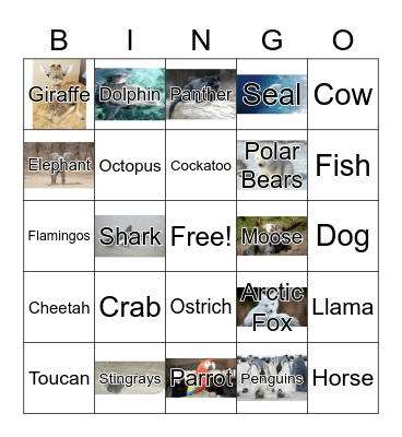animals  #1 Bingo Card