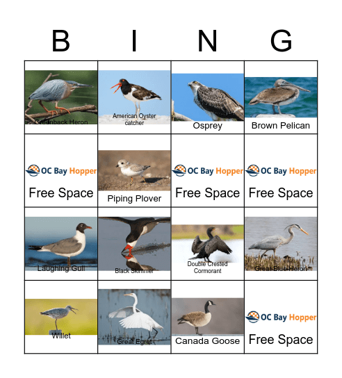 Bird Bingo Card