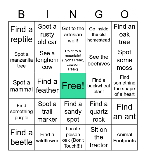 Hike Scavenger Hunt ! Bingo Card