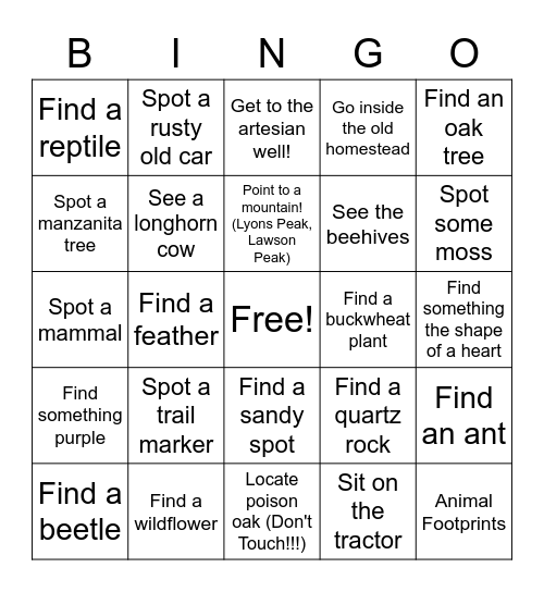 Hike Scavenger Hunt ! Bingo Card