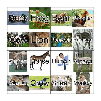 Animal Sounds Bingo Card