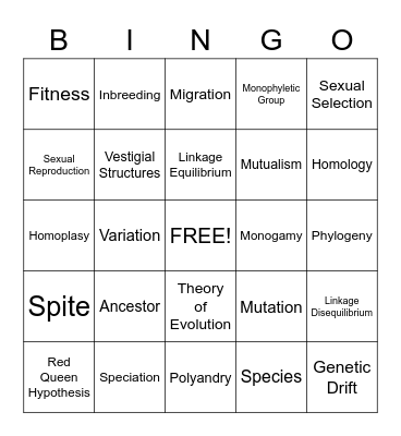 Evolution Bingo Card