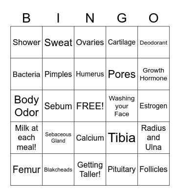 Puberty! Bingo Card
