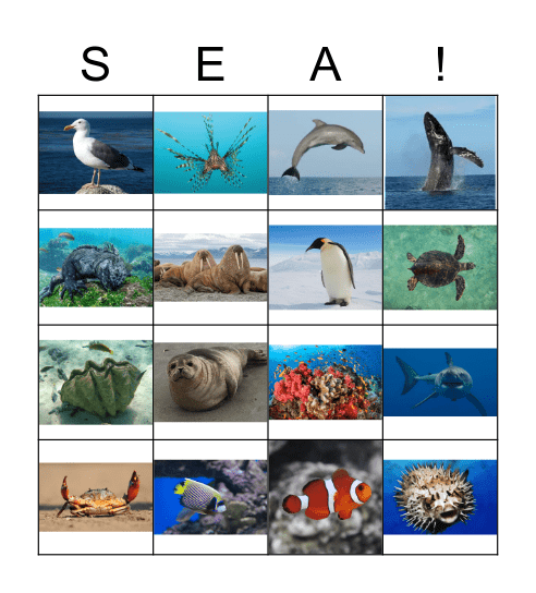 Ocean Life Bingo Card