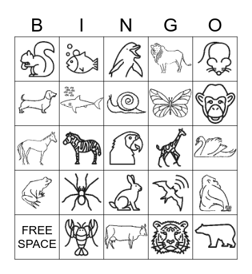 Animals Bingo Card