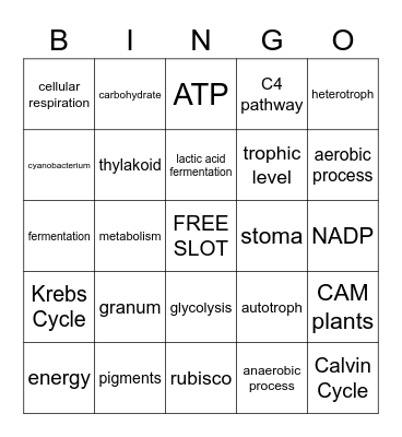 Energy Bingo Card