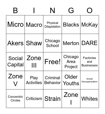 Social Disorganization Bingo Card