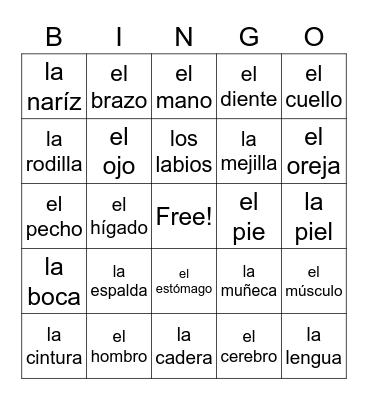 Partes del cuerpo Bingo Card