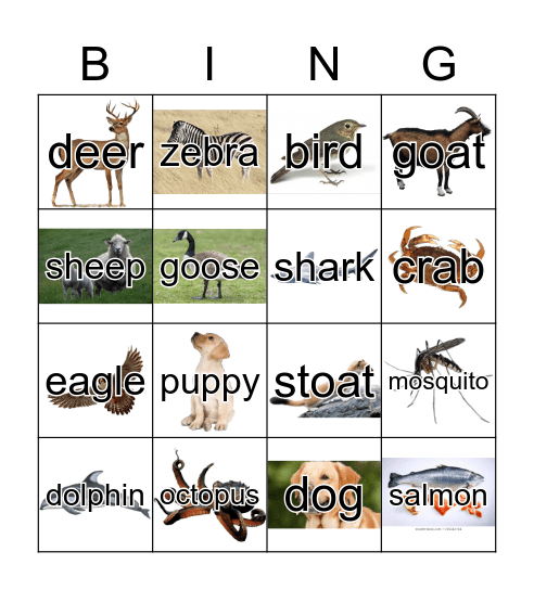 Animals & Other Critters, Animals Bingo Card
