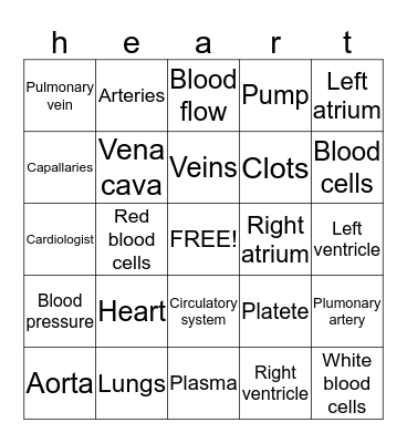 Circulatoy Bingo Card