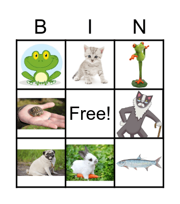Pets! Bingo Card