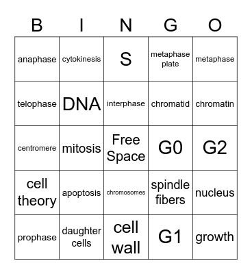 Cell Division Bingo Card