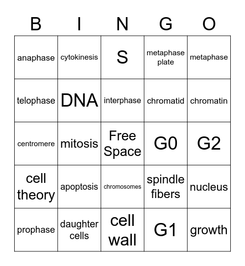 Cell Division Bingo Card