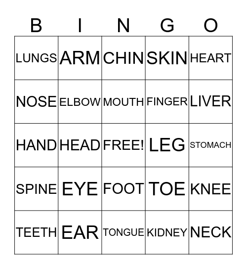 Body Parts Bingo Card