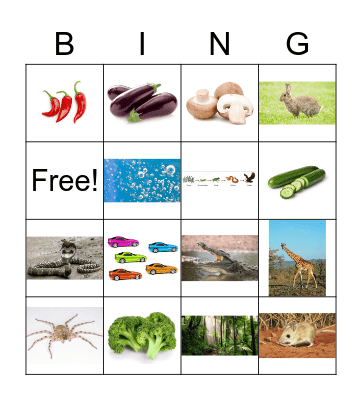 Vocabulary Bingo Card