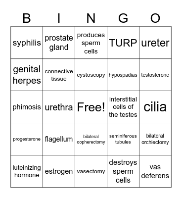 CH. 9 Bingo Card