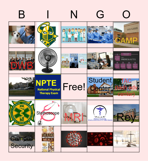 Reynolds 3 Bingo Card